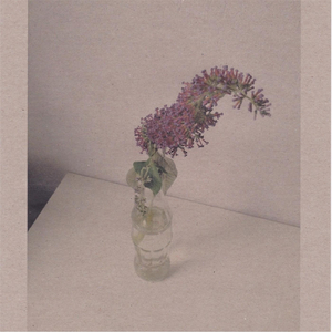 日本少妇AA一级特黄大片
